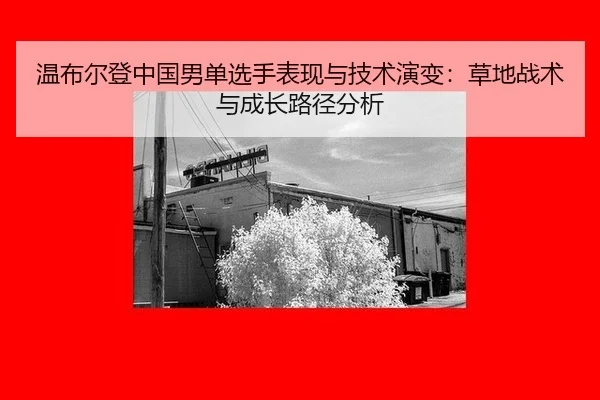温布尔登中国男单选手表现与技术演变：草地战术与成长路径分析